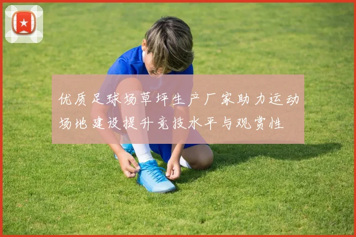 优质足球场草坪生产厂家助力运动场地建设提升竞技水平与观赏性