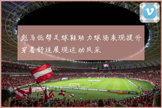 彪马低帮足球鞋助力球场表现提升穿着舒适展现运动风采