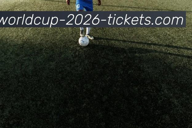 世界杯平台服务体系